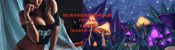 бошки Верхнеуральск
