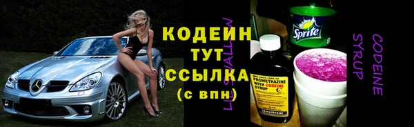 дживик Богородицк