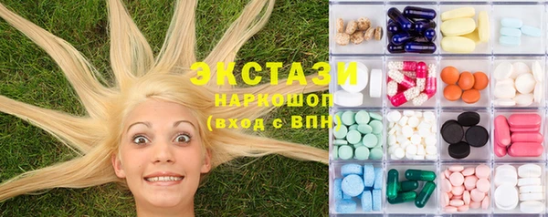 дживик Богородицк
