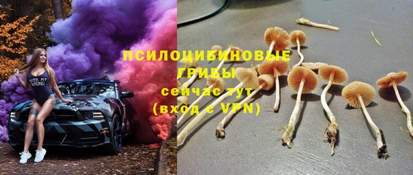 шишки Богородск