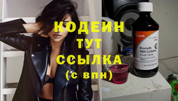 шишки Богородск
