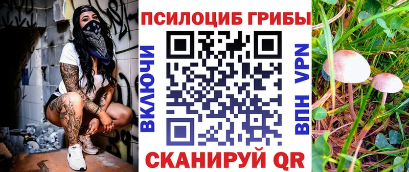 это какой сайт  Светлый  Галлюциногенные грибы прущие грибы  купить наркотик  MEGA ссылка 